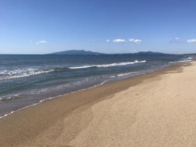 🏖️ 데토하마 해수욕장 (데토하마 카이스이요쿠조) 이미지 1